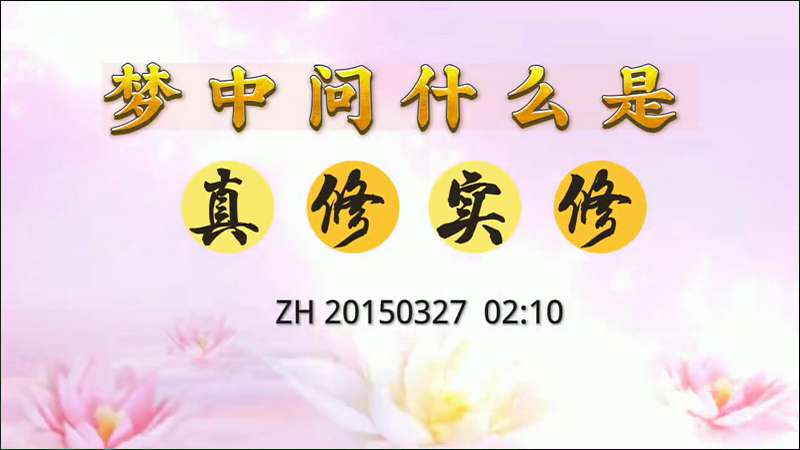 8. 梦中问什么是真修实修
