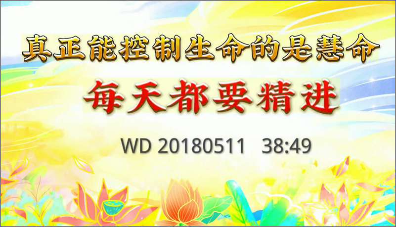 11. 真正能控制生命的是慧命,每天都要精进。