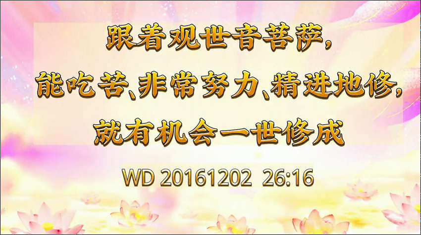 22. 跟着观世音菩萨,能吃苦,非常努力、精进的修,就有机会一世修成