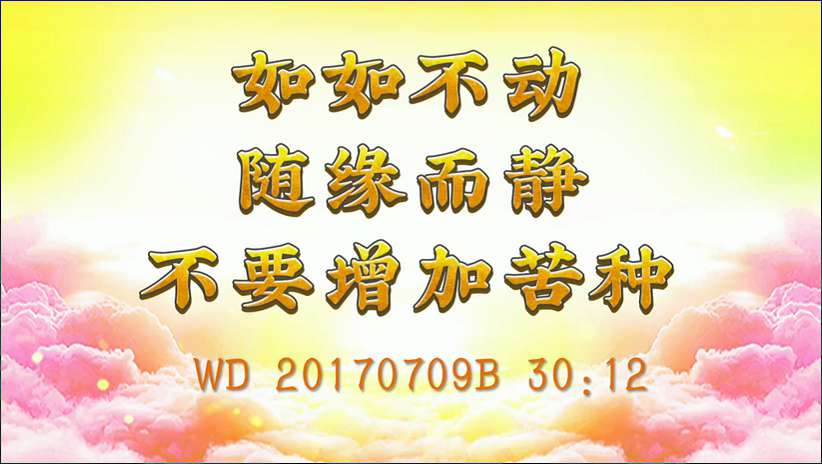42. 如如不动,随缘而静,不要增加苦种