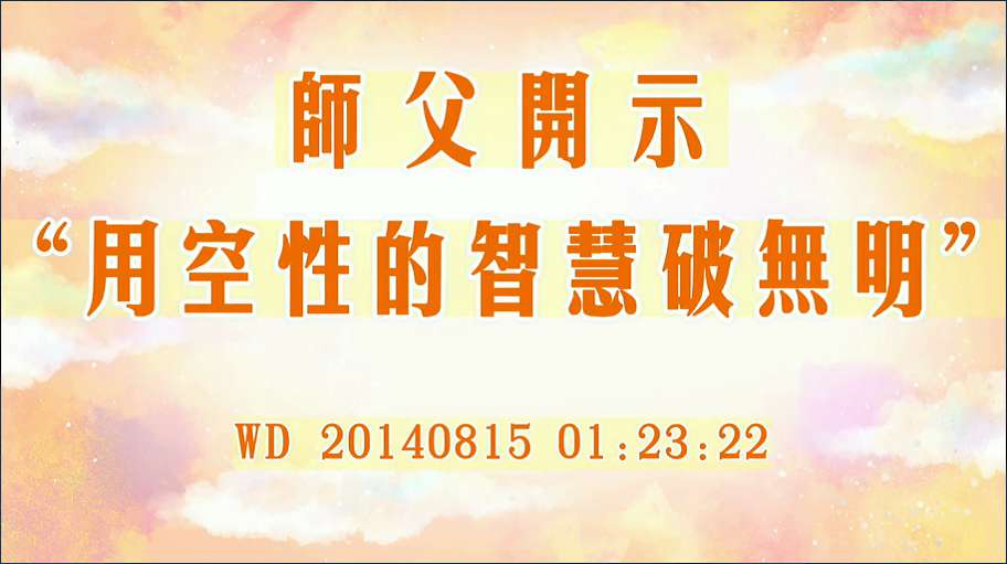 46. 师父开示"用空性的智慧破无明"问答2014081501:23:22