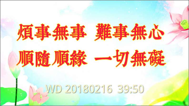 80. “烦事无事,难事无心,顺随顺缘,一切无碍”!问答20180216 39:50