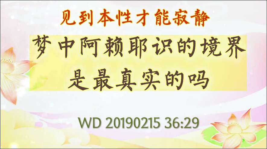 83. 见到本性才能寂静;梦中阿赖耶识的境界是最真实的吗!问答20190215 36:29