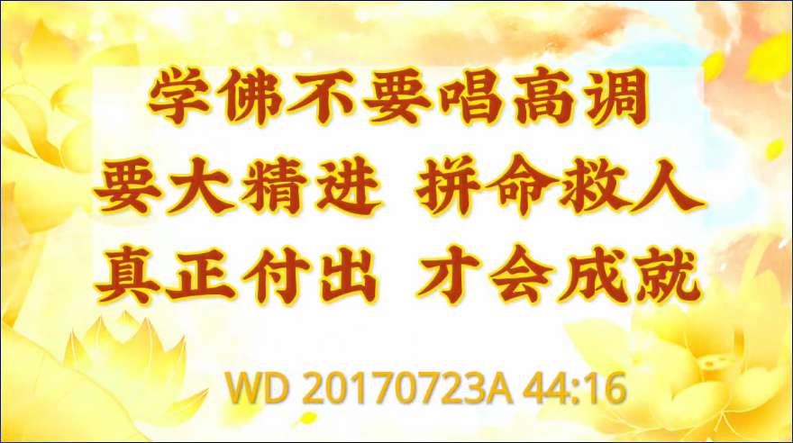86. 学佛不要唱高调,要大精进、拼命救人、正真付出,才会成就!问答20170723A 44:16