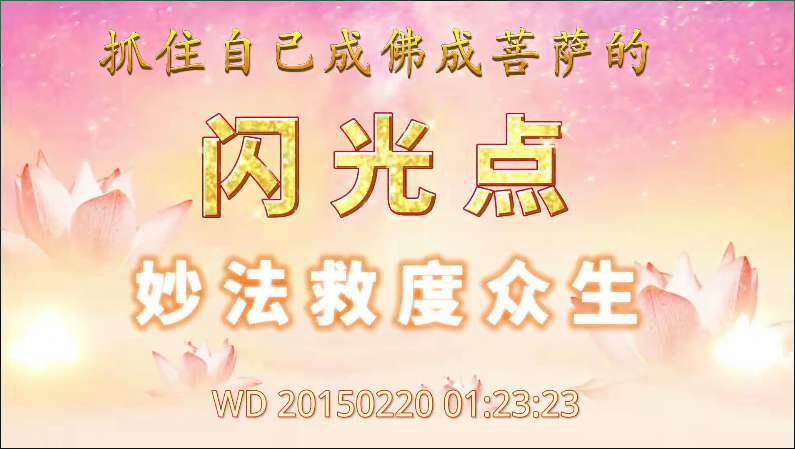 88. 抓住自己成佛 成菩萨的闪光点,妙法救度众生(问答20150220)