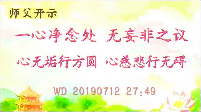 92. 师父开示“一心净念处,无妄非之议;心无垢行方圆,心慈悲行无碍”(问答20190712)