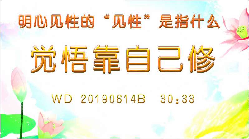93. 明心见性的“见性”是指什么;觉悟靠自己修 (问答20190614)