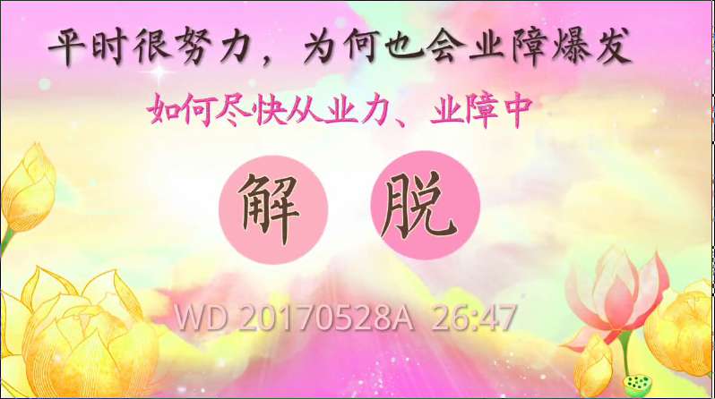 97. 平时很努力,为何也会业障爆发;如何尽快从业力、业障中解脱(问答2017052)