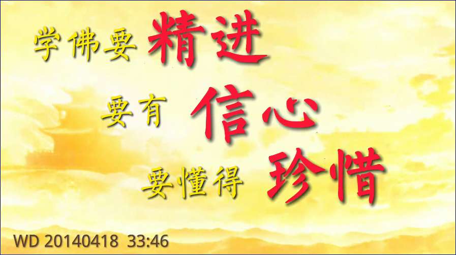 102. 学佛要精进、要有信心、要懂得珍惜(问答20140418)
