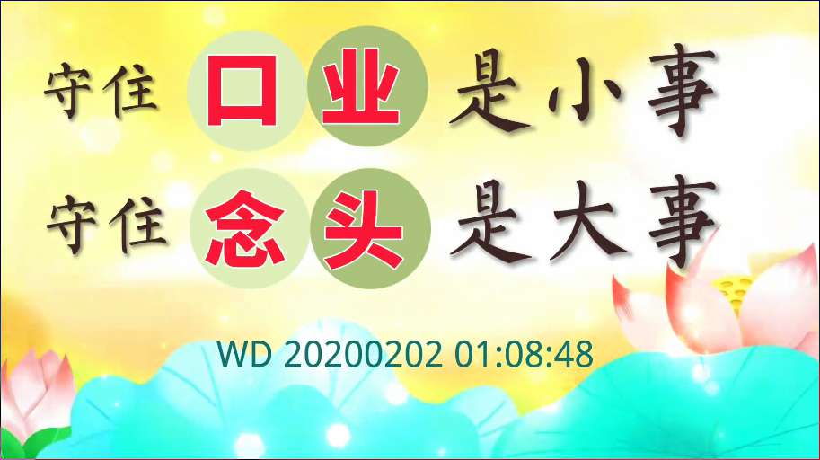 105. 守住口业是小事,守住念头才是大本事(问答20200202)