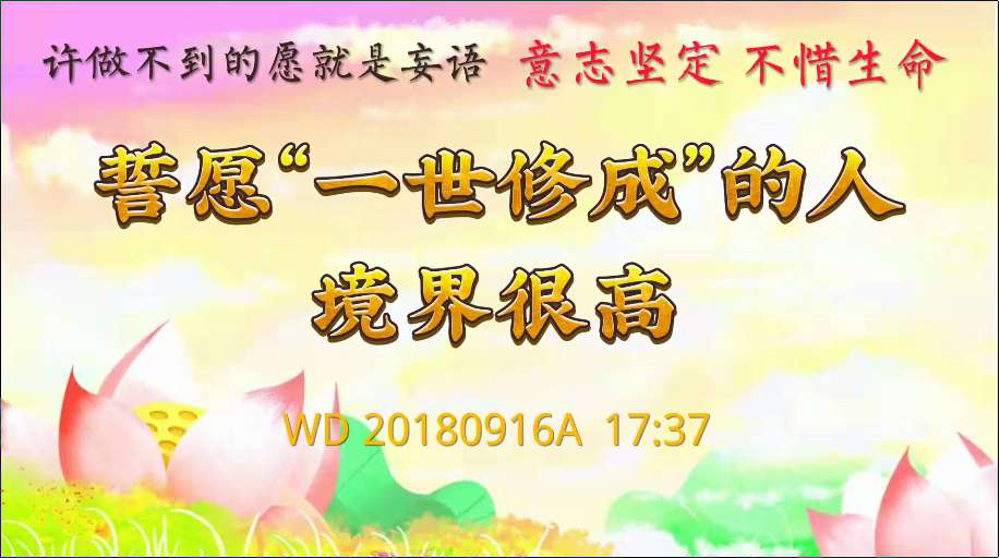 107. 许做不到的愿就是妄语;意志坚定,不惜生命,誓愿“一世修成”的人境界很高(问答20180916)