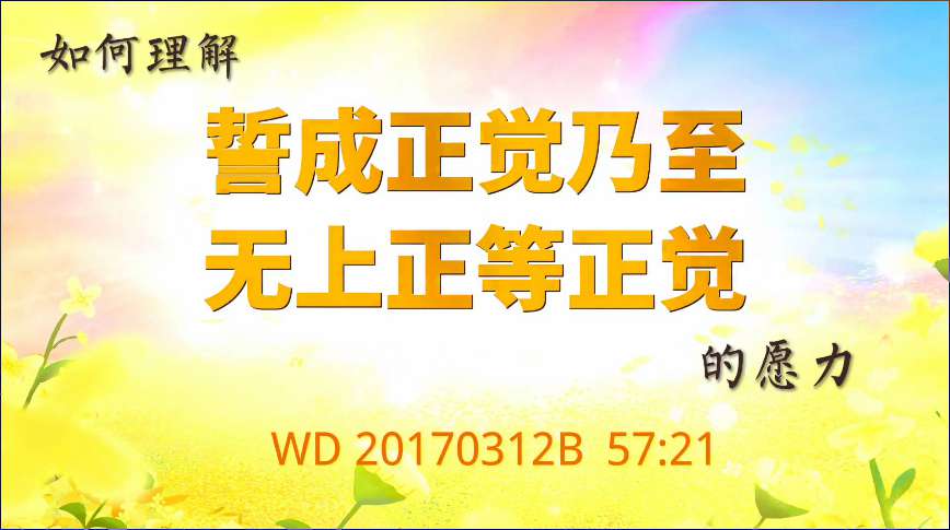 4. 如何理解“誓成正觉乃至无上正等正觉”的愿力(问答20170312)
