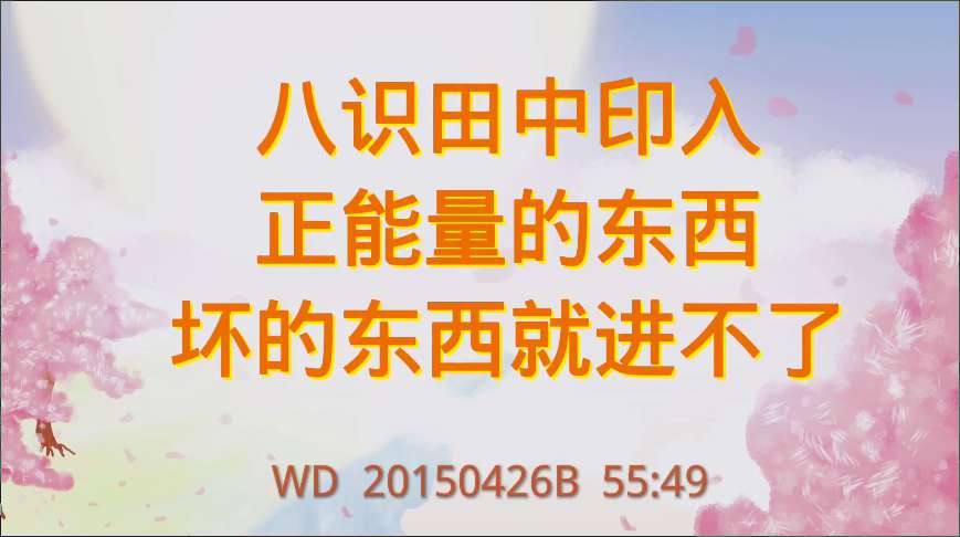9. 八识田中印入正能量的东西,坏的东西就进不了(问答20150426)