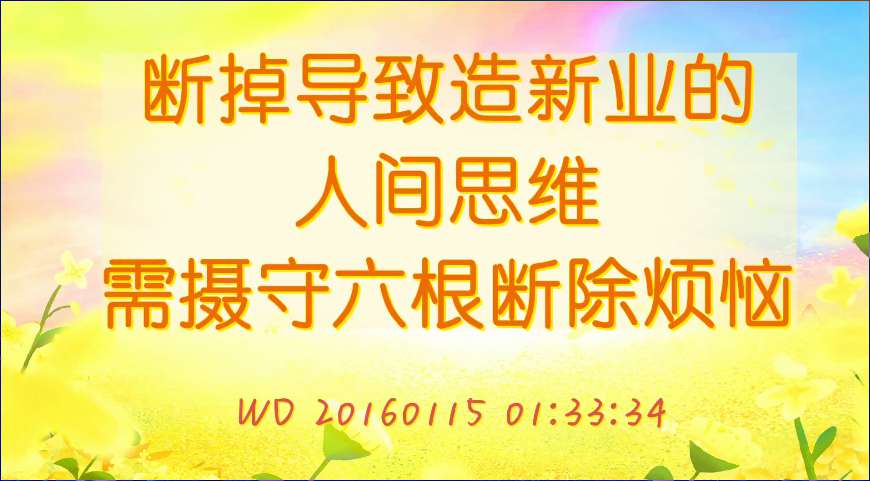 12. 断掉导致造新业的人间思维,需摄守六根断除烦恼(问答20160115 )