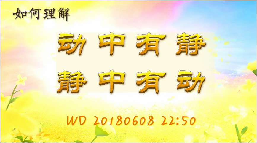 13. 如何理解“动中有静,静中有动”(问答20180608 )