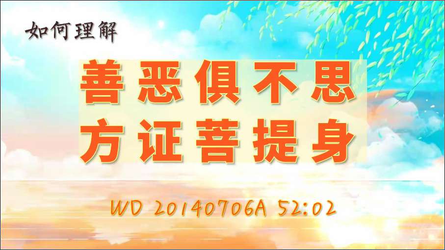 16. 如何理解“善恶俱不思,方证菩提身”(问答20140706)