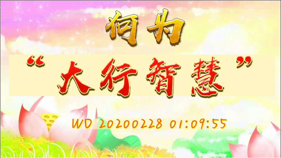 17. 何为“大行智慧”(问答20200228)