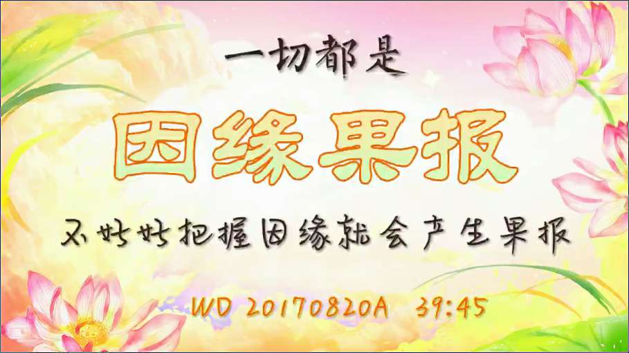 22. 一切都是因缘果报,不好好把握因缘就会产生果报(问答20170820)