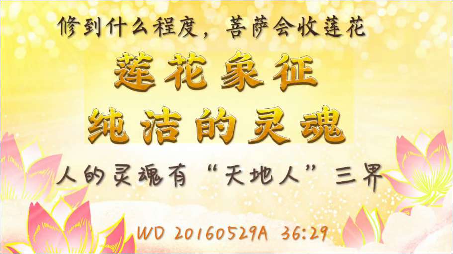 24. 修到什么程度,菩萨会收莲花;莲花象征纯洁的灵魂;人的灵魂有“天地人”三界(问答20160529)