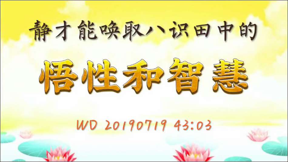 26. 静才能唤取八识田中的悟性和智慧(问答20190719)