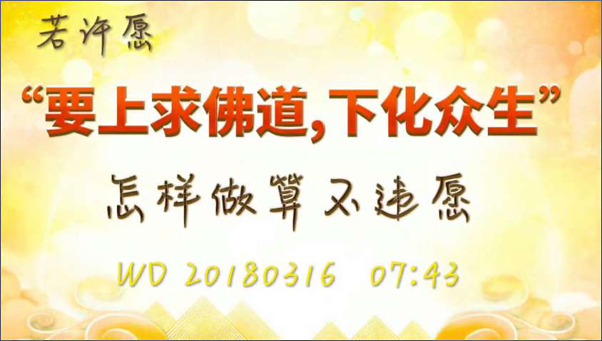 42. 若许愿“要上求佛道,下化众生”,怎样做算不违愿(问答20180316)