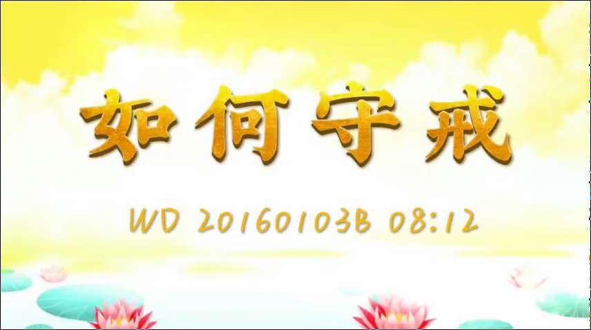 43. 如何守戒(问答20160103)