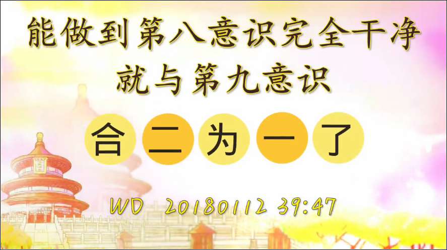 46. 能做到第八意识完全干净就与第九意识合二为一了(问答20180112)