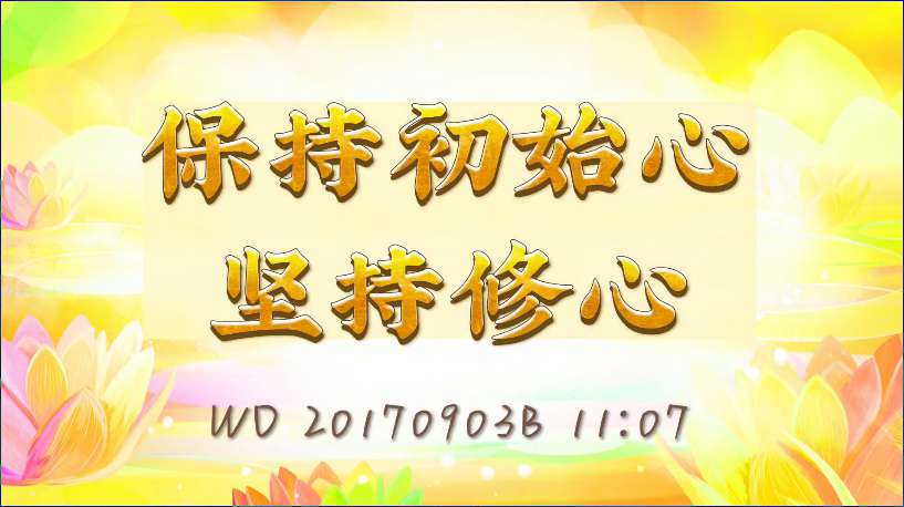 61. 保持初始心坚持修心(问答20170903)