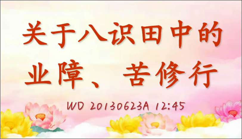 67. 关于八识田中的业障、苦修行 (问答20130623)