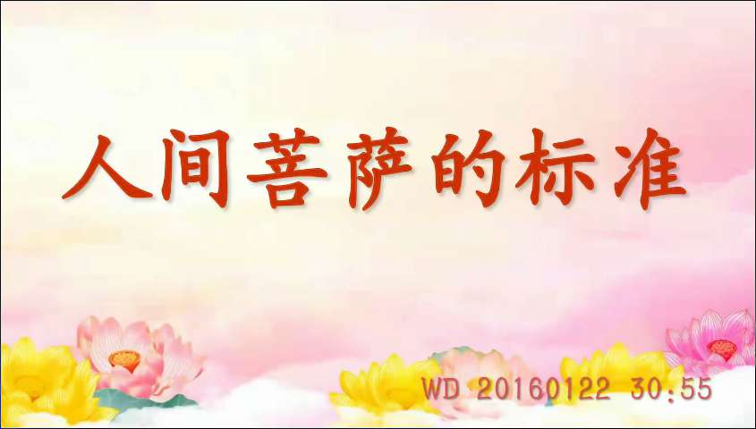 71. 人间菩萨的标准 (问答20160122)